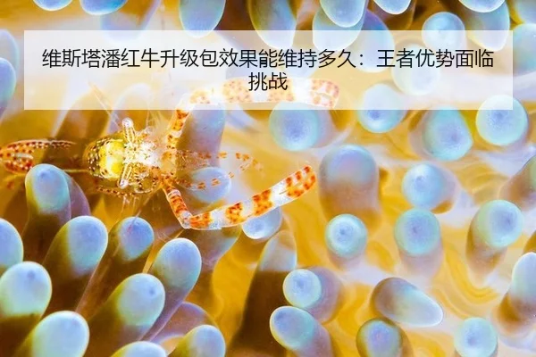维斯塔潘红牛升级包效果能维持多久：王者优势面临挑战
