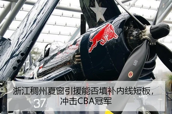 浙江稠州夏窗引援能否填补内线短板，冲击CBA冠军
